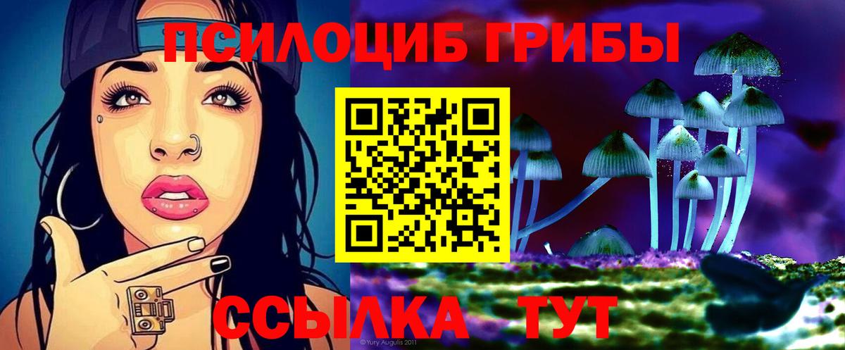 Копейск  Галлюциногенные грибы Magic Shrooms  Галлюциногенные грибы GOLDEN TEACHER  Вход с VPN 