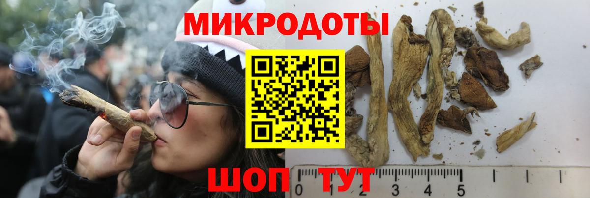 Псилоцибиновые грибы мухоморы Копейск